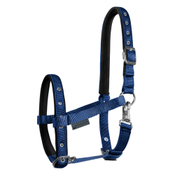 Veulen halster Waldhausen Comfort – paardensport