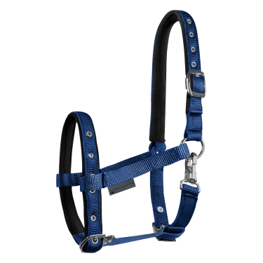 Veulen halster Waldhausen Comfort – paardensport