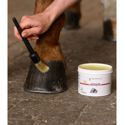 Waldhausen hoefvet 500 ml Geel