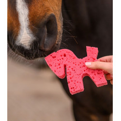 Waldhausen spons in de vorm van een paard Multicolor