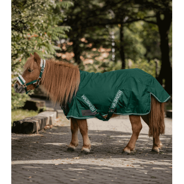 Paarden regenjas 100g Waldhausen Shetland | Rijden Paarden regenjas 100g Waldhausen Shetland | Rijden
