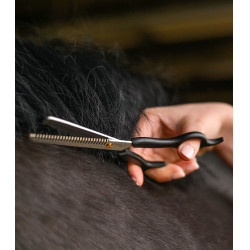 RVS kartelschaar voor paardensport – 19 cm