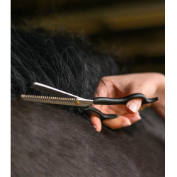 RVS kartelschaar voor paardensport – 19 cm