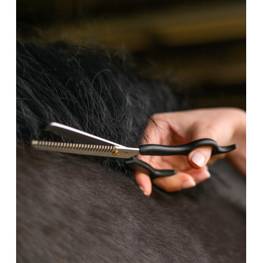 RVS kartelschaar voor paardensport – 19 cm