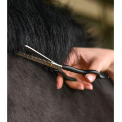 RVS kartelschaar voor paardensport – 19 cm