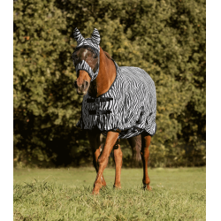 Zebra vliegendeken paard – Waldhausen | Equi-Clic