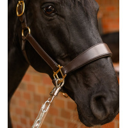 Paarden aanhalingsketting 55 cm – Waldhausen | Ruitersport