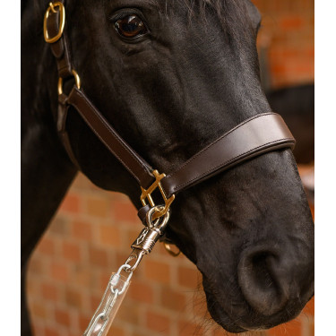 Aanbindketting paard 150 cm Waldhausen – Ruitersport
