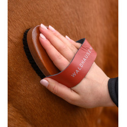 Paardenborstel met natuurhaar – Waldhausen HardWood