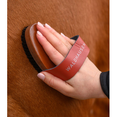 Paardenborstel met natuurhaar – Waldhausen HardWood