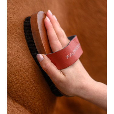 Paardenborstel met natuurhaar – Waldhausen HardWood