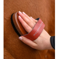 Paardenborstel met natuurhaar – Waldhausen HardWood
