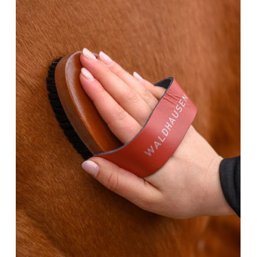 Paardenborstel met natuurhaar – Waldhausen HardWood