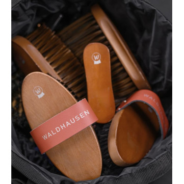 Paardenborstel met natuurhaar – Waldhausen HardWood