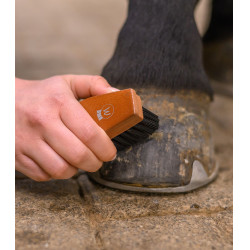 Hoefborstel voor paarden – HardWood Waldhausen Hoefborstel voor paarden – HardWood Waldhausen