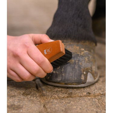 Hoefborstel voor paarden – HardWood Waldhausen Hoefborstel voor paarden – HardWood Waldhausen