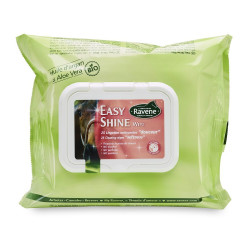 Easy Shine Wipe Ravene Reinigingsdoekjes