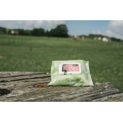 Easy Shine Wipe Ravene Reinigingsdoekjes Easy Shine Wipe Ravene Reinigingsdoekjes