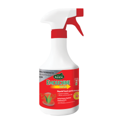 Émouchine Ravene Total