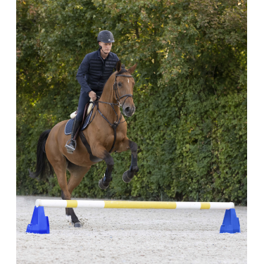 Cavaletti hindernisblok Waldhausen Blauw Cavaletti hindernisblok Waldhausen Blauw