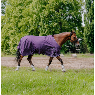 Equithème Tyrex Aisance 600D deken Pruim Violet