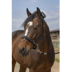 Halster paard Equithème met strass – verstelbaar en comfortabel