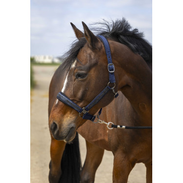 Halster paard Equithème met strass – verstelbaar en comfortabel