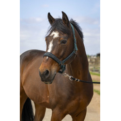 Halster paard Equithème met strass – verstelbaar en comfortabel
