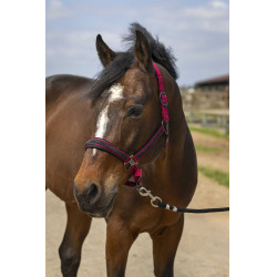 Halster paard Equithème met strass – verstelbaar en comfortabel