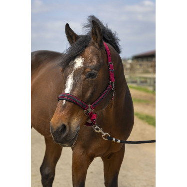 Halster paard Equithème met strass – verstelbaar en comfortabel