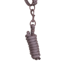 Technische halster met dubbele verstelling en rubber beklede gespen Equestro Gewei / gevilt violet Technische halster met dubbele verstelling en rubber beklede gespen Equestro Gewei / gevilt violet
