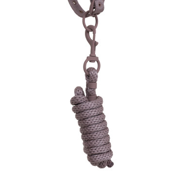 Technische halster met dubbele verstelling en rubber beklede gespen Equestro Gewei / gevilt violet Technische halster met dubbele verstelling en rubber beklede gespen Equestro Gewei / gevilt violet