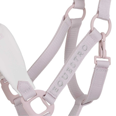 Technische halster met dubbele verstelling en rubber beklede gespen Equestro Violet vilt / zandwit Technische halster met dubbele verstelling en rubber beklede gespen Equestro Violet vilt / zandwit