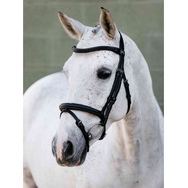 Arika Flash Hoofdstel LeMieux