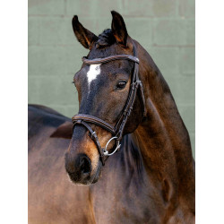 Arika Flash Hoofdstel LeMieux Bruin / zilver Arika Flash Hoofdstel LeMieux Bruin / zilver