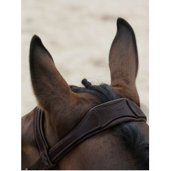 Arika Flash Hoofdstel LeMieux Bruin / zilver Arika Flash Hoofdstel LeMieux Bruin / zilver