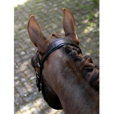 Arika hoofdstel met Mexicaanse neusriem Havana/Zilver LeMieux Havanna / zilver Bruin Arika hoofdstel met Mexicaanse neusriem Havana/Zilver LeMieux Havanna / zilver Bruin