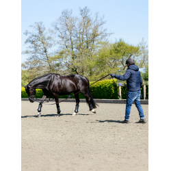 Longeerhulp Zwart LeMieux