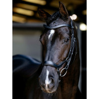 Arika Drop Bridle Zwart/Zilver LeMieux Zwart / zilver