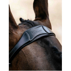 Arika Drop Bridle Zwart/Zilver LeMieux Arika Drop Bridle Zwart/Zilver LeMieux