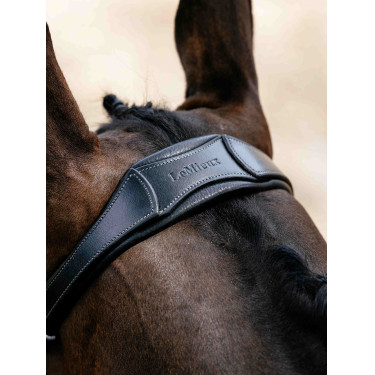 Arika Drop Bridle Zwart/Zilver LeMieux Arika Drop Bridle Zwart/Zilver LeMieux