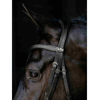 Arika Drop Bridle Zwart/Zilver LeMieux Zwart / zilver
