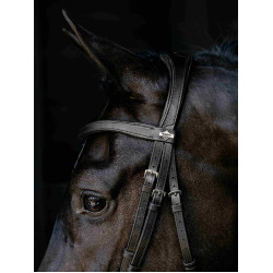 Arika Drop Bridle Zwart/Zilver LeMieux Arika Drop Bridle Zwart/Zilver LeMieux