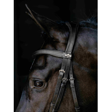Arika Drop Bridle Zwart/Zilver LeMieux Arika Drop Bridle Zwart/Zilver LeMieux