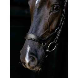 Arika Drop Bridle Zwart/Zilver LeMieux Arika Drop Bridle Zwart/Zilver LeMieux