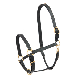 Leren paardenhalster robuust – Equi-Clic
