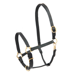 Leren paardenhalster robuust – Equi-Clic