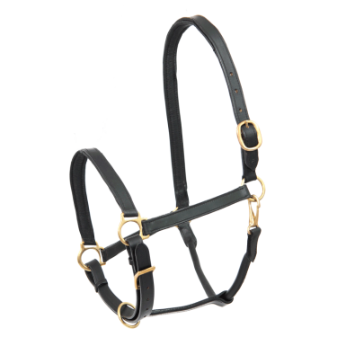 Leren paardenhalster robuust – Equi-Clic
