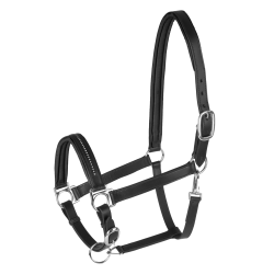 Lederen halster voor paard Star Diamond – equi-clic