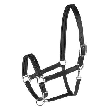 Lederen halster voor paard Star Diamond – equi-clic